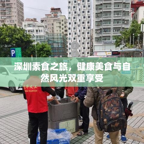深圳素食之旅，健康美食与自然风光双重享受