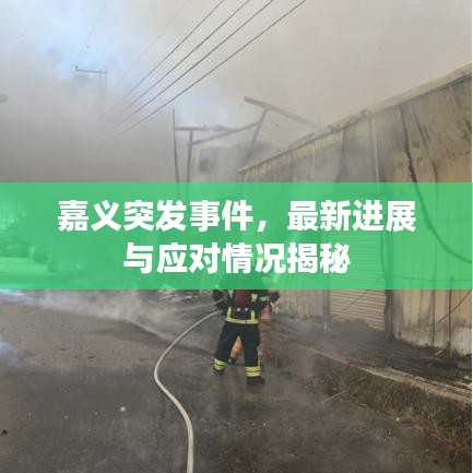 嘉义突发事件，最新进展与应对情况揭秘