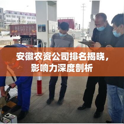 安徽农资公司排名揭晓，影响力深度剖析