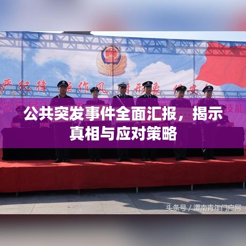 公共突发事件全面汇报，揭示真相与应对策略