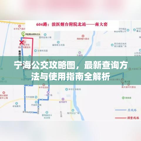 宁海公交攻略图，最新查询方法与使用指南全解析
