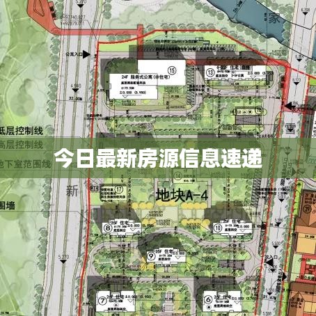 关于我们 第82页