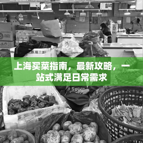 上海买菜指南，最新攻略，一站式满足日常需求