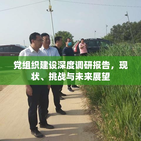 党组织建设深度调研报告，现状、挑战与未来展望