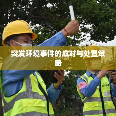 突发环境事件的应对与处置策略