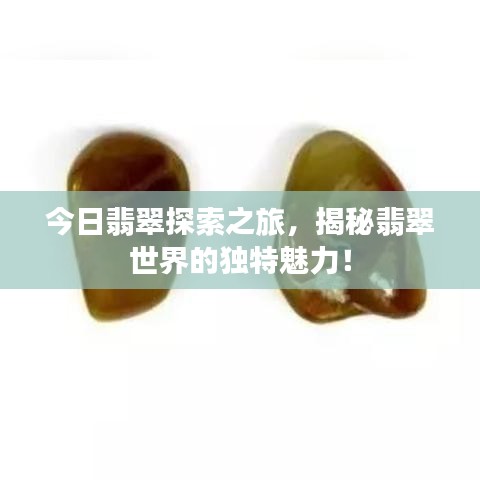 今日翡翠探索之旅，揭秘翡翠世界的独特魅力！