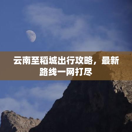 精品球杆 第77页