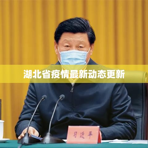 湖北省疫情最新动态更新