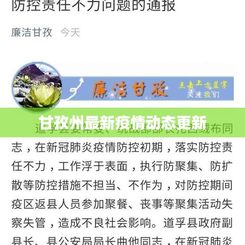 甘孜州最新疫情动态更新