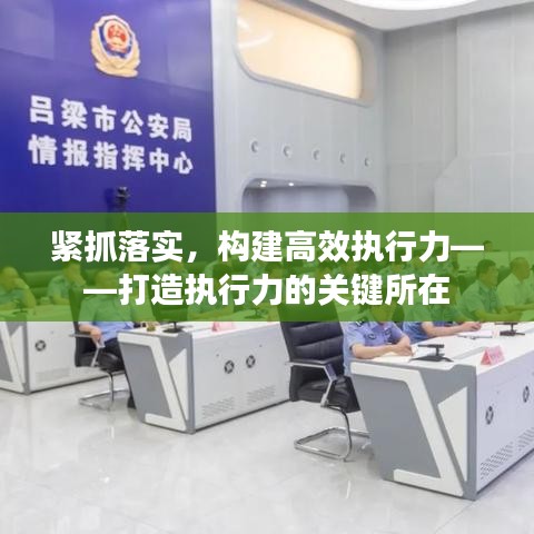 紧抓落实，构建高效执行力——打造执行力的关键所在
