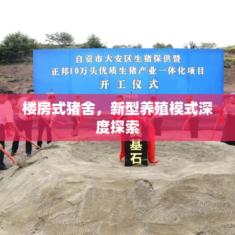 楼房式猪舍，新型养殖模式深度探索