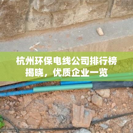 杭州环保电线公司排行榜揭晓，优质企业一览