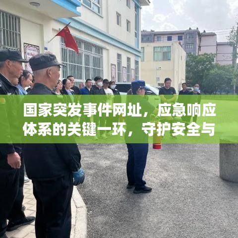 国家突发事件网址，应急响应体系的关键一环，守护安全与稳定！