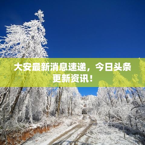 大安最新消息速递，今日头条更新资讯！