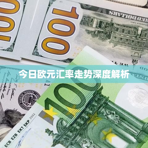 今日欧元汇率走势深度解析