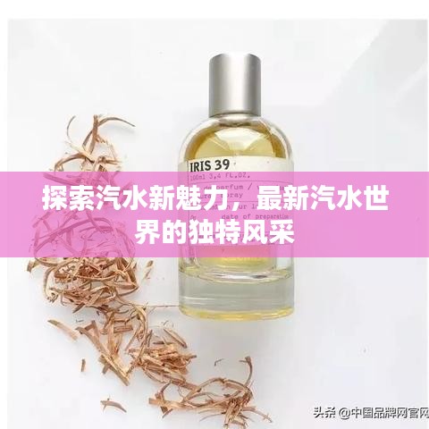 探索汽水新魅力，最新汽水世界的独特风采