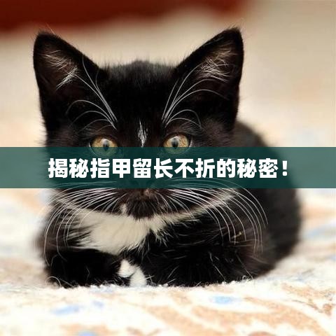 揭秘指甲留长不折的秘密！