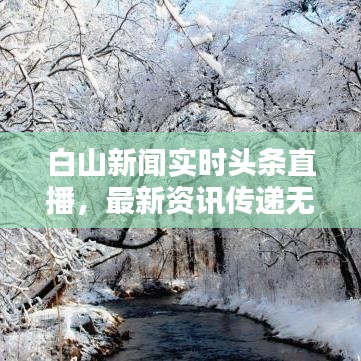 白山新闻实时头条直播，最新资讯传递无延迟
