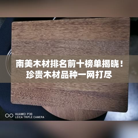 南美木材排名前十榜单揭晓！珍贵木材品种一网打尽