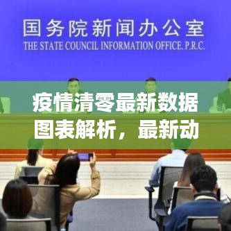 疫情清零最新数据图表解析，最新动态一目了然