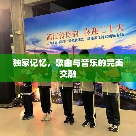 独家记忆，歌曲与音乐的完美交融