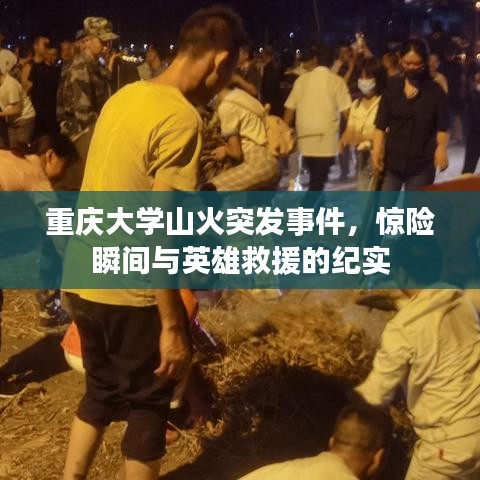 将错就错 第3页