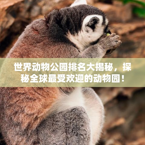 世界动物公园排名大揭秘，探秘全球最受欢迎的动物园！