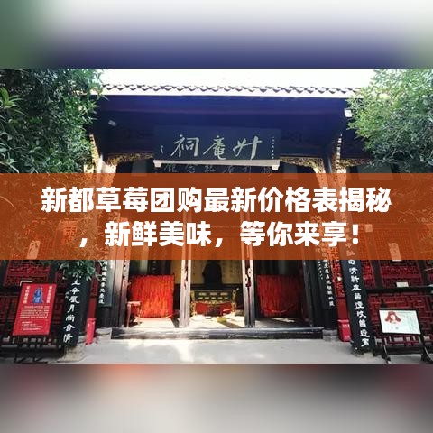 新都草莓团购最新价格表揭秘，新鲜美味，等你来享！