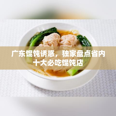 广东馄饨诱惑，独家盘点省内十大必吃馄饨店