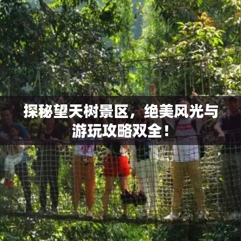 探秘望天树景区，绝美风光与游玩攻略双全！