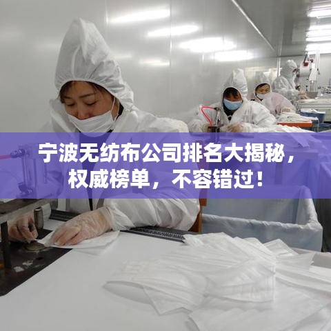 宁波无纺布公司排名大揭秘，权威榜单，不容错过！