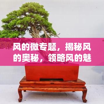 风的微专题，揭秘风的奥秘，领略风的魅力