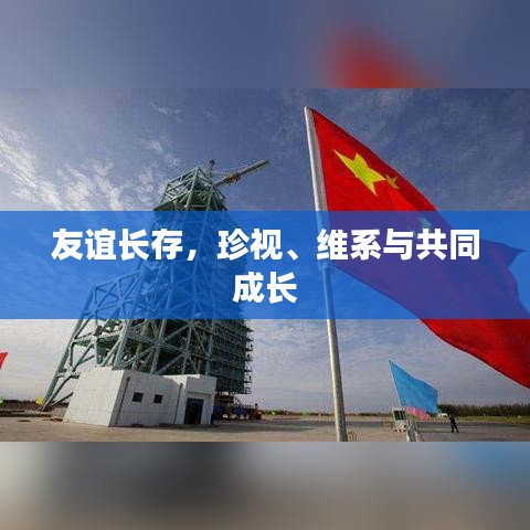 友谊长存，珍视、维系与共同成长