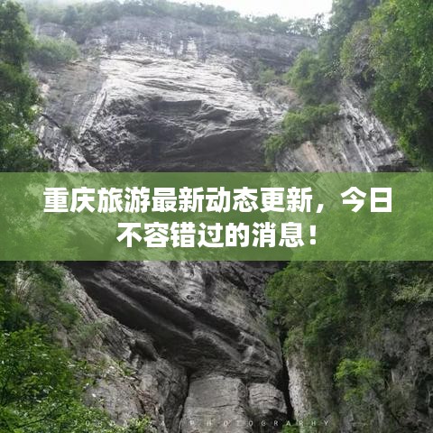 推襟送抱 第3页