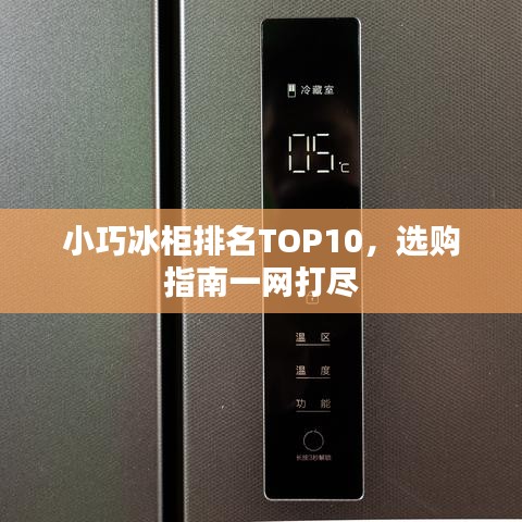 小巧冰柜排名TOP10，选购指南一网打尽