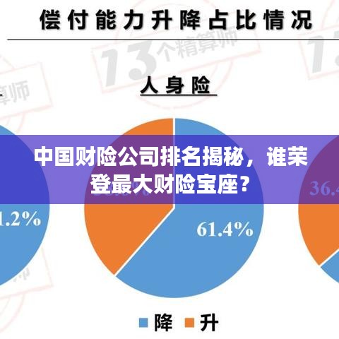 中国财险公司排名揭秘，谁荣登最大财险宝座？