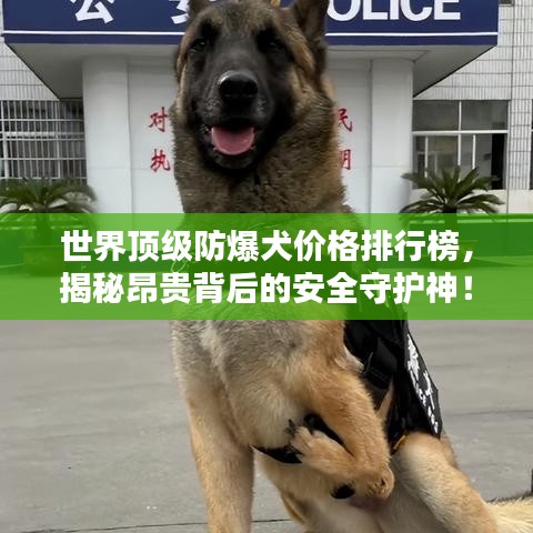 世界顶级防爆犬价格排行榜，揭秘昂贵背后的安全守护神！