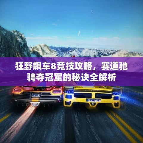 狂野飙车8竞技攻略，赛道驰骋夺冠军的秘诀全解析