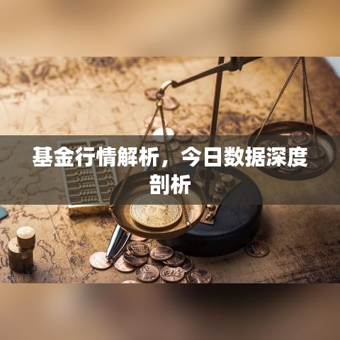 基金行情解析，今日数据深度剖析