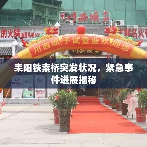 耒阳铁索桥突发状况，紧急事件进展揭秘