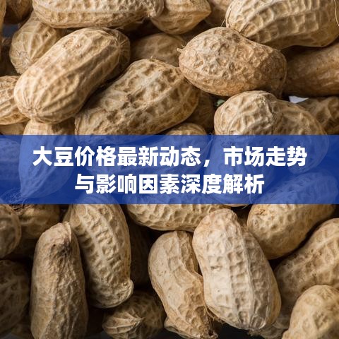 大豆价格最新动态，市场走势与影响因素深度解析
