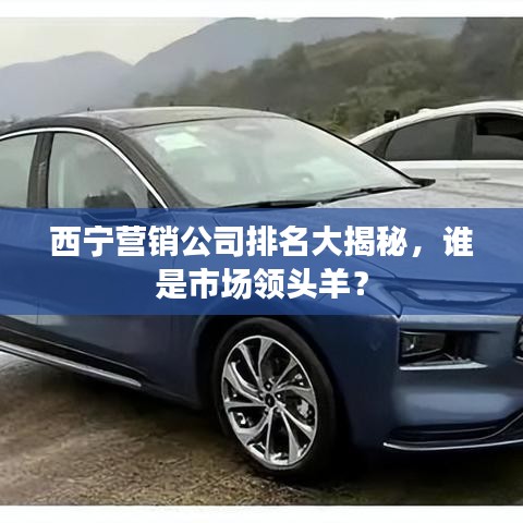 西宁营销公司排名大揭秘，谁是市场领头羊？