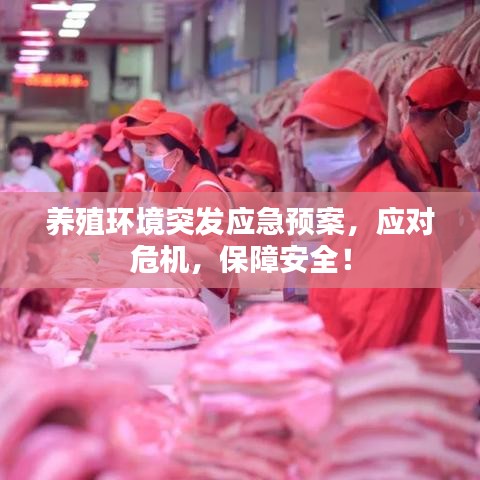 养殖环境突发应急预案，应对危机，保障安全！