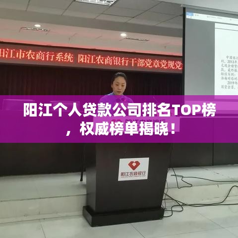 阳江个人贷款公司排名TOP榜，权威榜单揭晓！