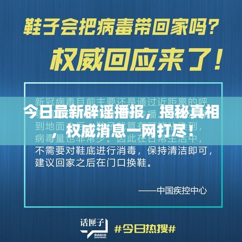 今日最新辟谣播报，揭秘真相，权威消息一网打尽！