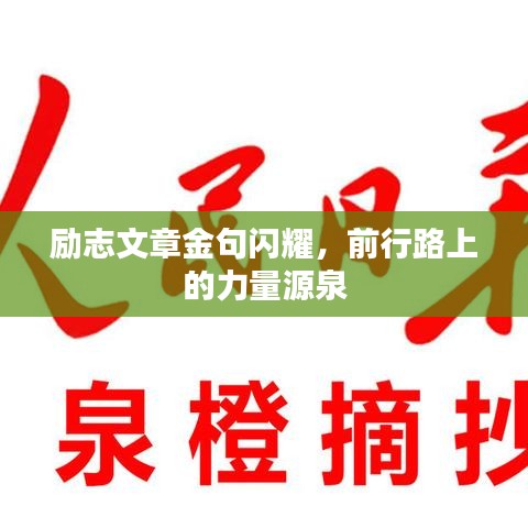 精耕细作 第4页