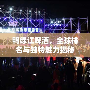 鸭绿江啤酒，全球排名与独特魅力揭秘
