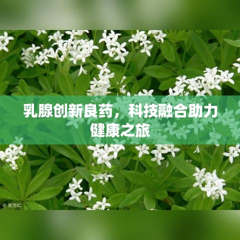 乳腺创新良药，科技融合助力健康之旅
