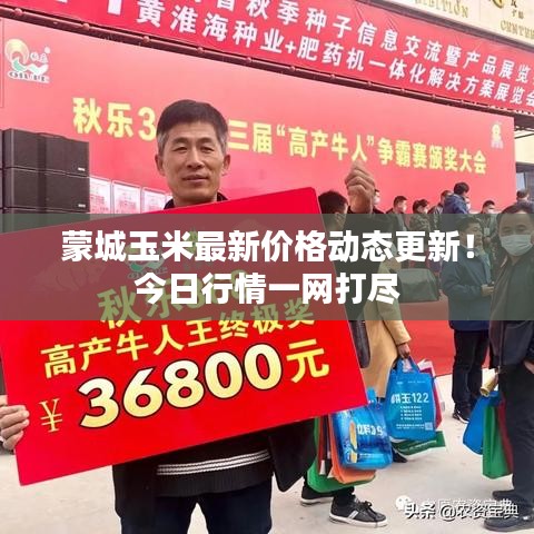 蒙城玉米最新价格动态更新！今日行情一网打尽