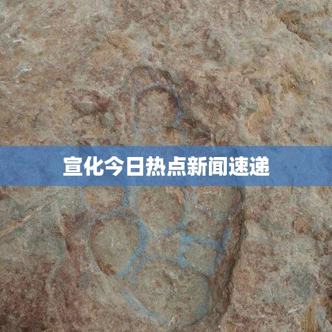 抛砖引玉 第3页